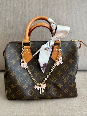 Louis Vuitton Speedy 25 Monogram Canvas Satchel Bag Authentic France